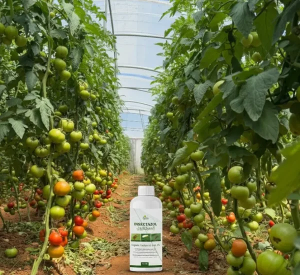 Gemini_Generated_Image_uf4zjyuf4zjyuf4