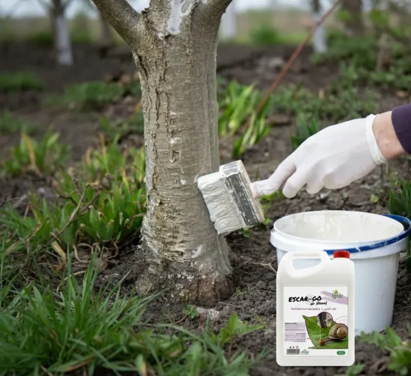 Gemini_Generated_Image_yclk72yclk72ycl