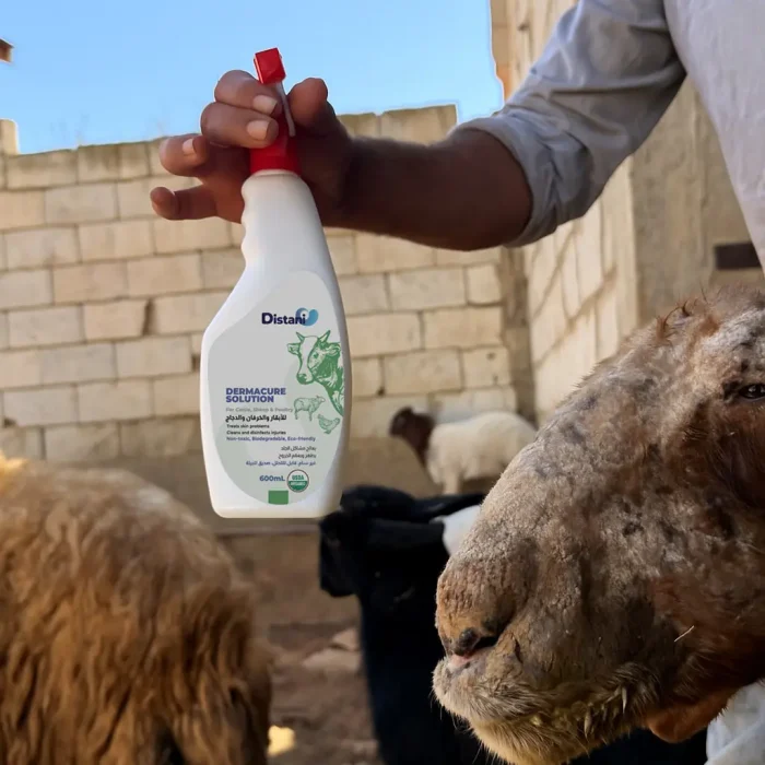 WhatsApp Image 2025-10-11 at 1.56.08 PM