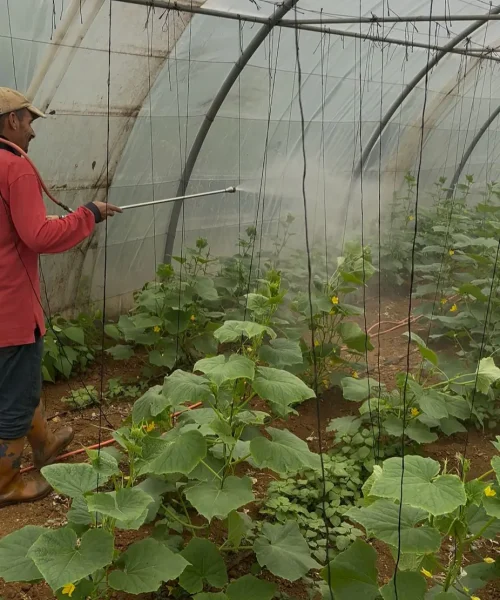 WhatsApp Image 2025-10-13 at 10.33.30